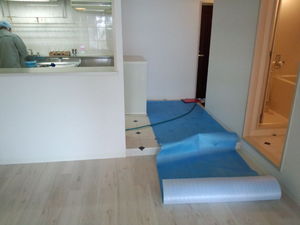 IMG_20120909_105259.jpg