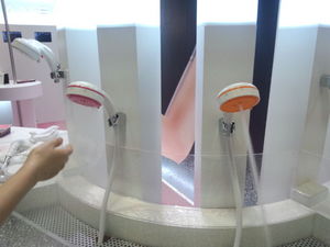 IMG_20121015_165808.jpg
