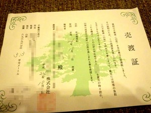 IMG_20121016_225445.jpg