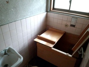 IMG_20121017_124703.jpg