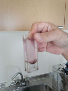 IMG_20121019_105910.jpg