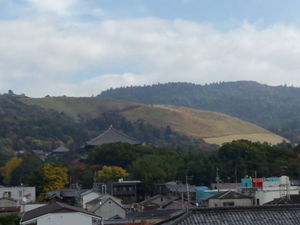 IMG_20121110_115655.jpg