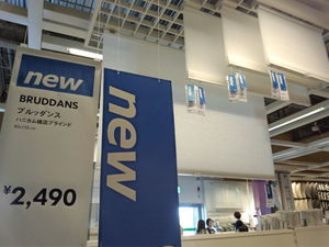 IMG_20130923_150814184.jpg