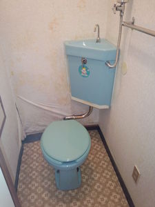 IMG_20131027_12124747.jpg