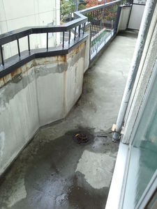 IMG_20131027_121321698.jpg
