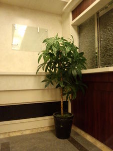 IMG_20131211_162707458.jpg