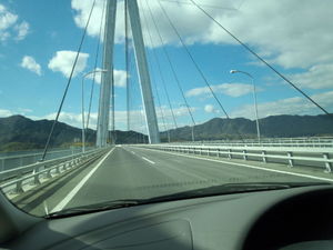 IMG_20140116_121149865.jpg