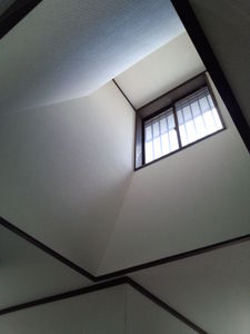 IMG_20140121_130737489.jpg