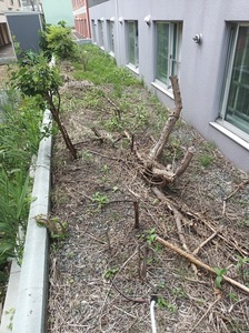 IMG_20190618_135532_3.jpg
