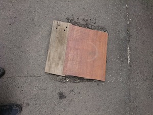 IMG_20200520_134319.jpg