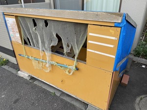 IMG_2383.jpg