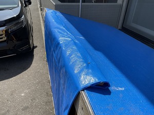 IMG_2391.jpg