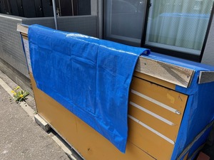 IMG_2392.jpg