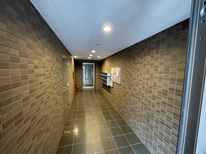 IMG_2591.jpg