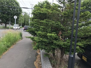 IMG_3041.jpg