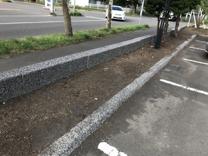 IMG_3314.jpg