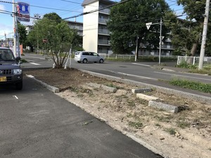 IMG_3320.jpg