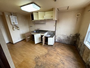IMG_3485.jpg