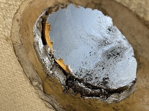 IMG_3995.jpg