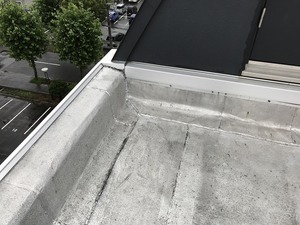 IMG_4182.jpg