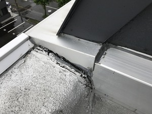 IMG_4186.jpg