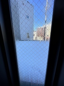 IMG_4611.jpg