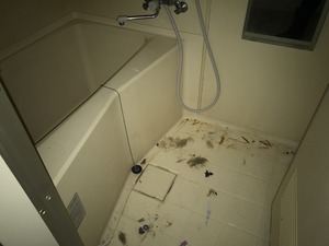 IMG_5404.jpg