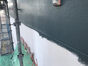 IMG_5662.jpg