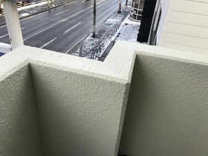 IMG_5953.jpg