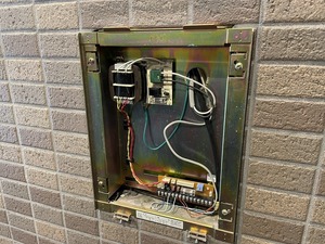 IMG_6026.jpg