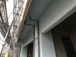 IMG_6239.jpg