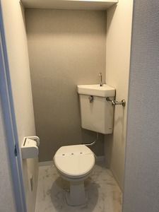 IMG_6559.jpg