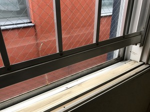IMG_6627.jpg