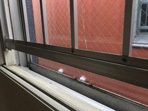 IMG_6628.jpg