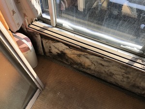 IMG_7074.jpg