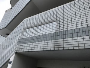 IMG_8019.jpg