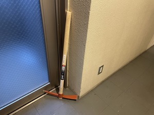 IMG_8133.jpg
