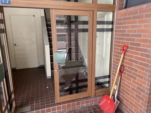 IMG_8500.jpg