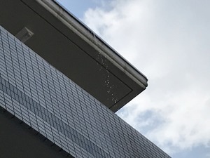 IMG_8682.jpg