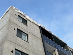 IMG_8791.jpg