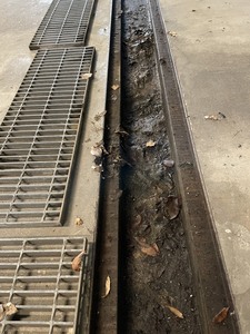 IMG_8817.jpeg