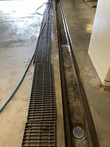 IMG_8821.jpeg