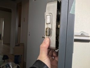 IMG_9241.jpg