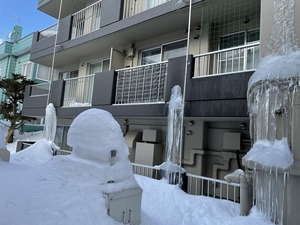IMG_9327.jpg