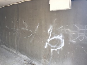IMG_9586.jpg
