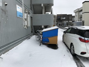 IMG_9668.jpg