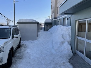 IMG_9922.jpg