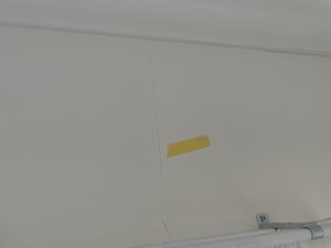 IMG_9959.jpg