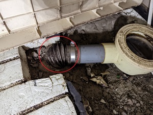 PXL_20221204_024741828.jpg