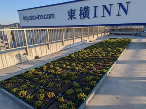 PXL_20230314_082011594.jpg